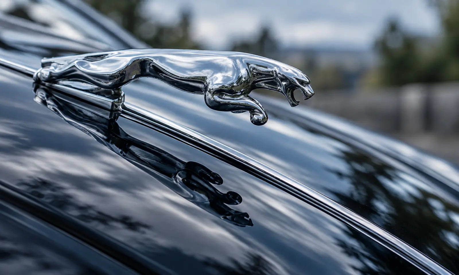 Jaguar Servicing