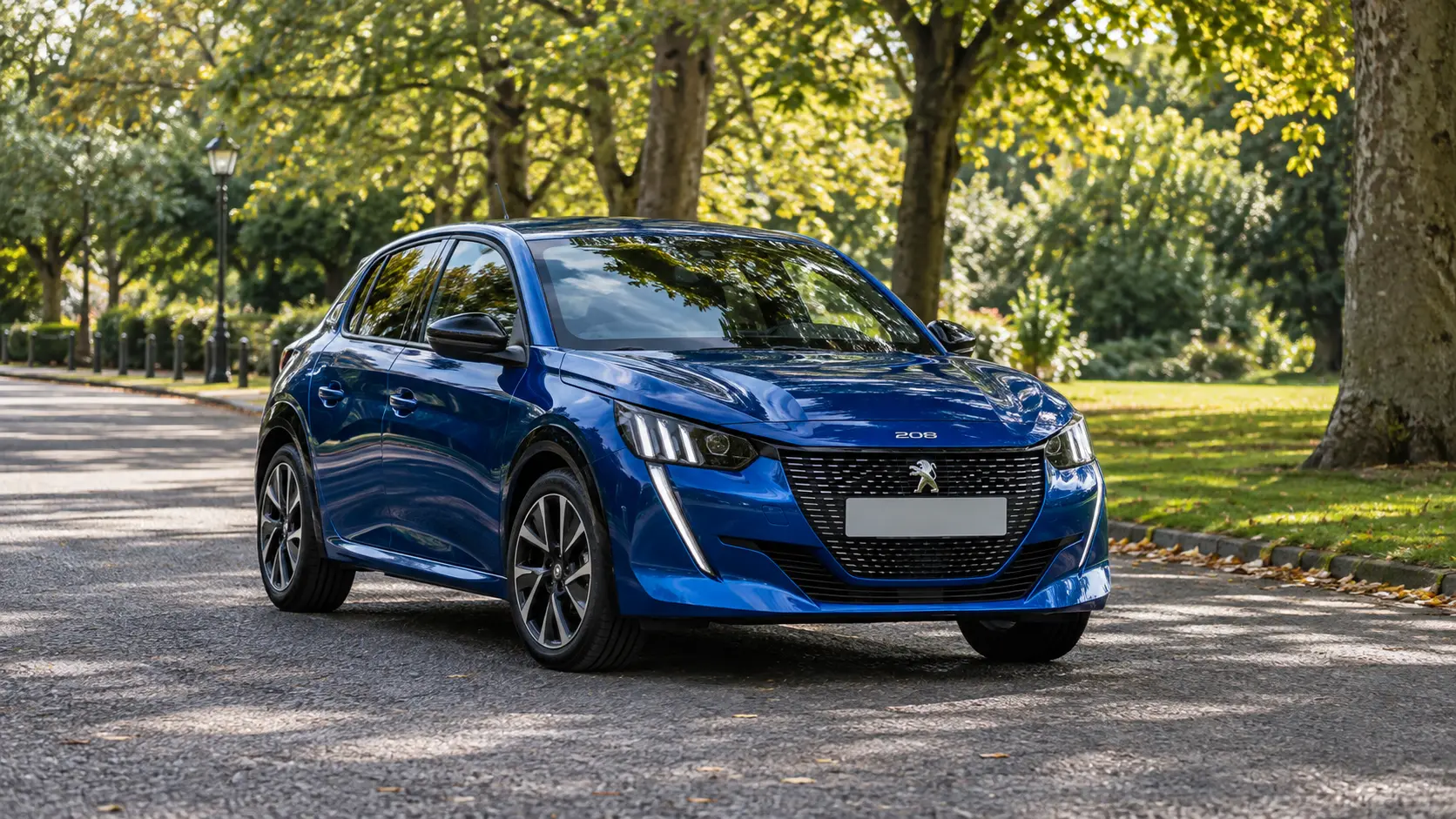 Peugeot Servicing